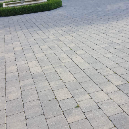 PHOTO-2025-05-22-23-51-45-1-rirt4i94eoj4ybowxy6oqrnuwr3t6n6uuw4j22f5zo